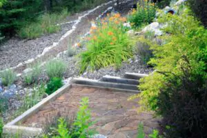 Advantages and Disadvantages of Xeriscaping - Santa Fe Landscape Pros