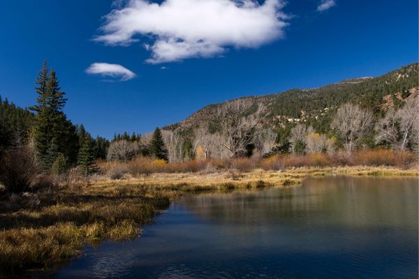Monastery Lake Pecos, NM - Santa Fe Landscape Pros