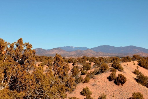 Galisteo Basin NM Santa Fe Landscape Pros