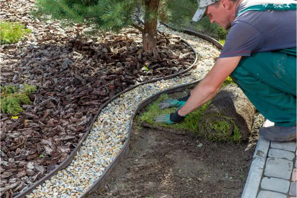 5 Things to Look for When Hiring a Landscaper Evergreen Landscape Pros Landscape Contractors