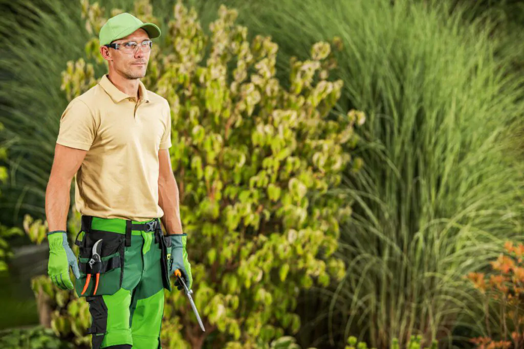 How Much Does Landscaping Cost? A Comprehensive Guide