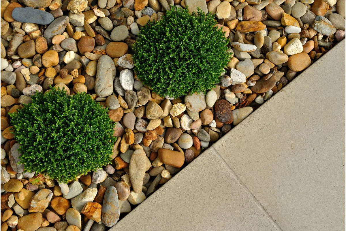 Landscaping Services Lamy, NM, Lamy NM Landscaping Services