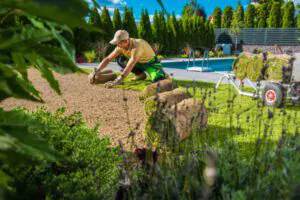 Enhancing the Beauty of Your Outdoor Space, Landscape Maintenance and Restoration, EVERGREEN LANDSCAPE PROS