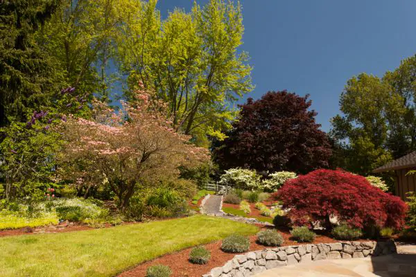 Choosing the Right Plants, EVERGREEN LANDSCAPE PROS, SANTA FE LANDSCAPERS