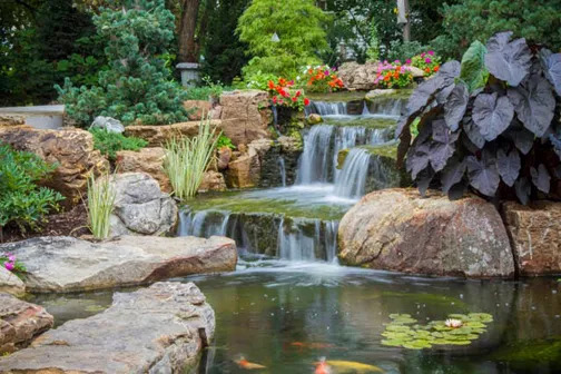lanscape with water feature and irrigation