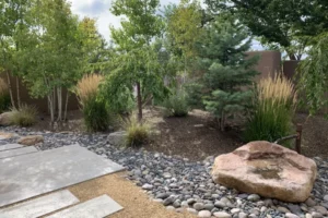 modern hardscape and landscape design