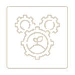 Design Through Maintenance icon